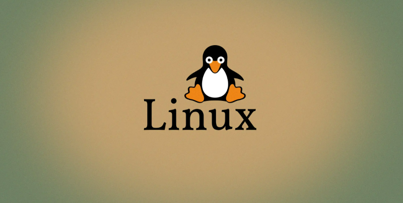 Linux系统扩容分区及文件系统
